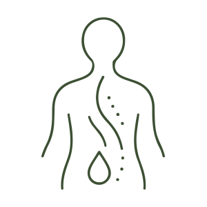 Abhyanga + Swedana (Oil Massage + Steam Therapy)
