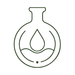 Basti (Medicated Enema – Optional)