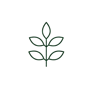 Ayurvedic Treatments